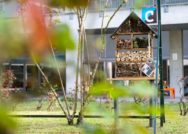 Photo : Inner courtyard on the Bastide campus © Gautier Dufau